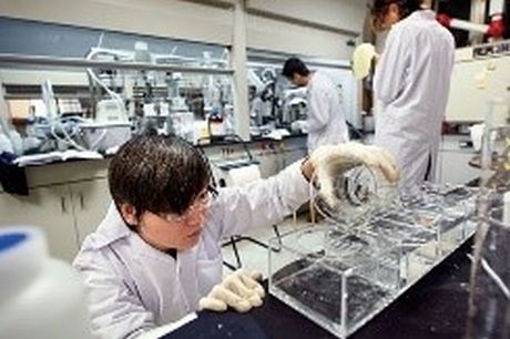 Trung Quốc phát triển một loại nanocompozit mới phát hiện ô nhiễm chì trong nước