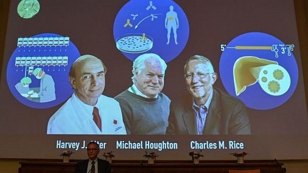 Giải Nobel Y học 2020 được trao cho công trình nghiên cứu phát hiện ra virus viêm gan C