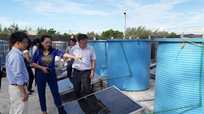 Hà Tĩnh: Chế biến nước mắm quy mô công nghiệp từ năng lượng mặt trời