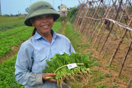 Sản xuất rau hữu cơ thời 4.0 tại Hà Tĩnh
